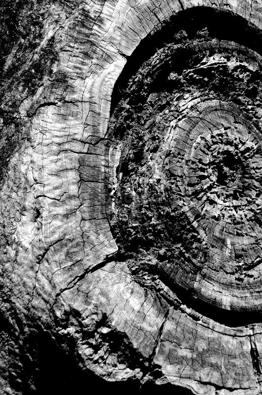 old - B&W01