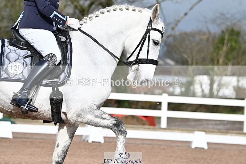 240218A-130912-07546 - 120-PAULA.LEE-Deseado.Santo