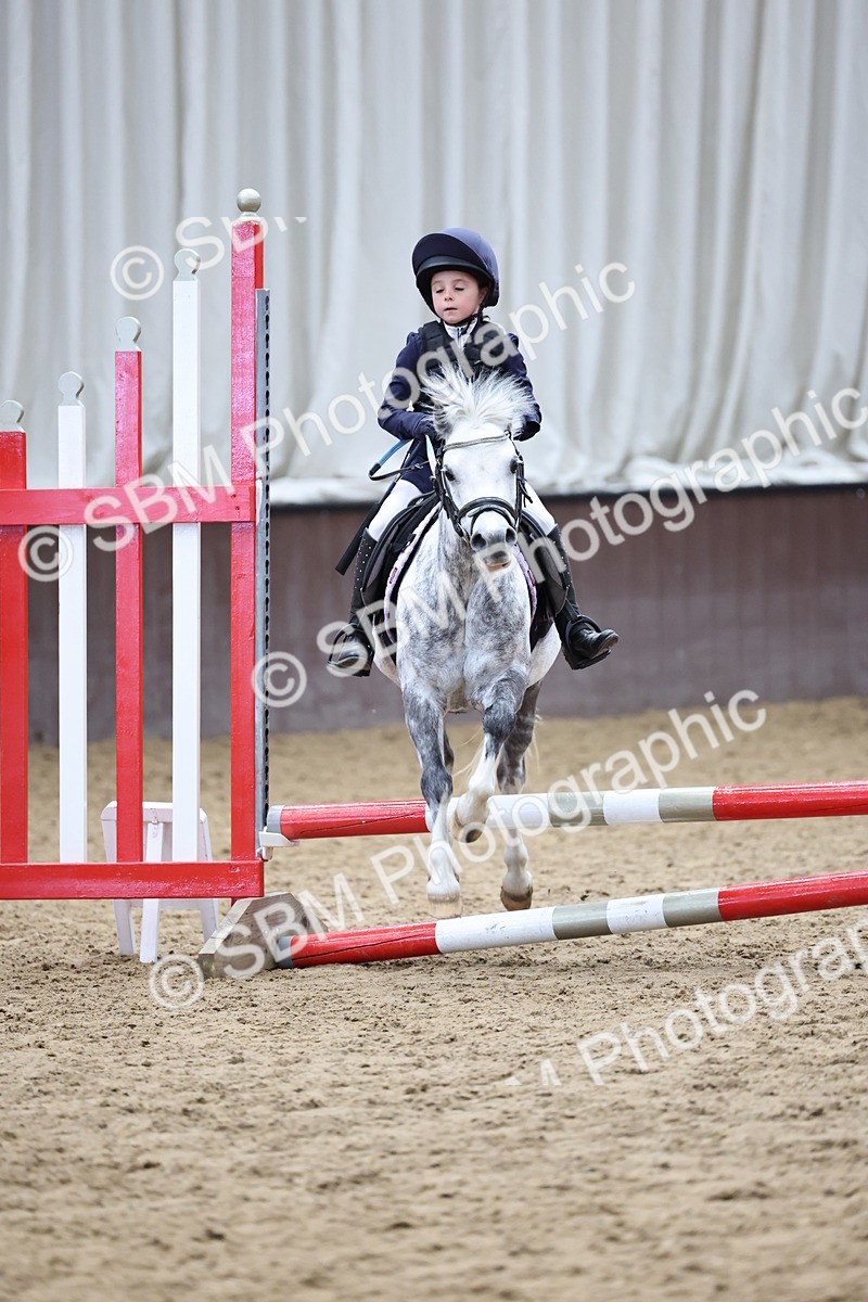 SBM_007385 - Class 2 - 50cm showjumping