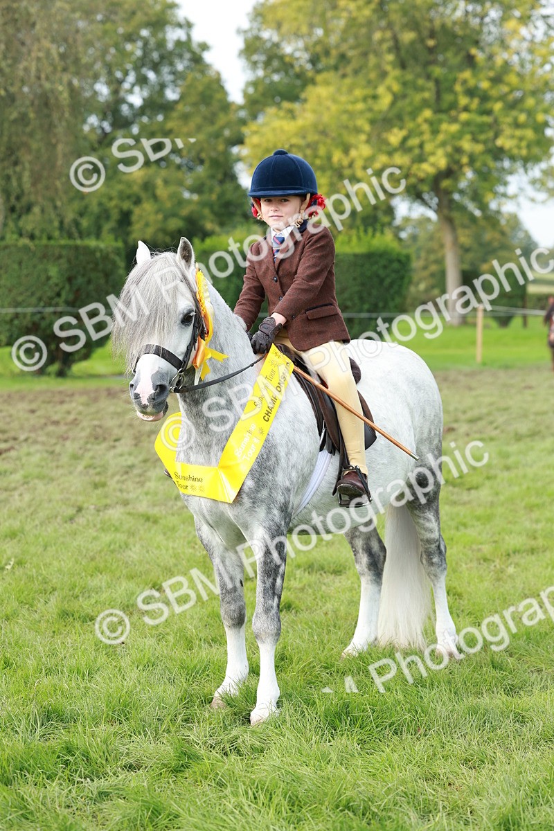SBM_56457 - S39 - Starters In Hand Showing