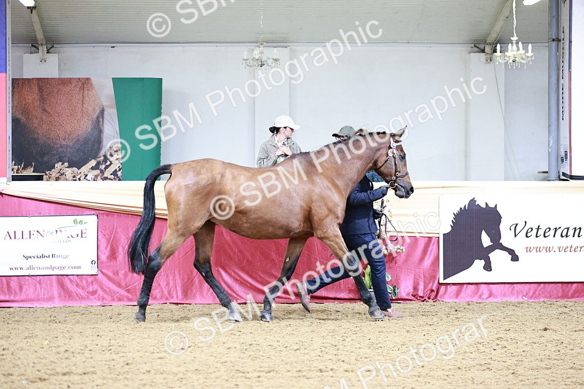 SBM_00160 - Class 1A - Area IH Diamond
