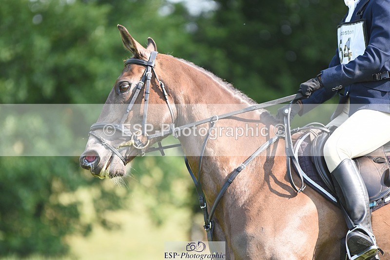 230625-090822-00095 - SJ 90cm 9.00 to 10.00