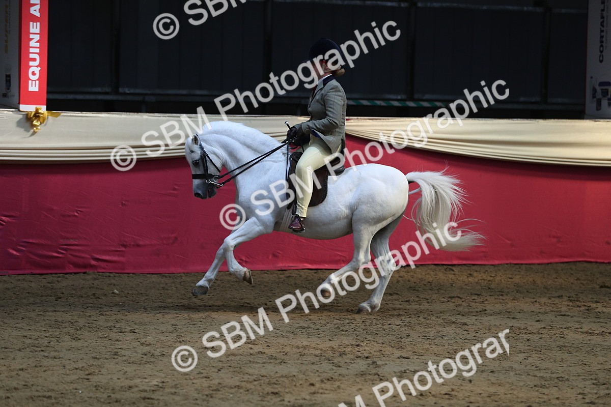 SBM_08350 - Class 11R Regional Ridden Veteran
