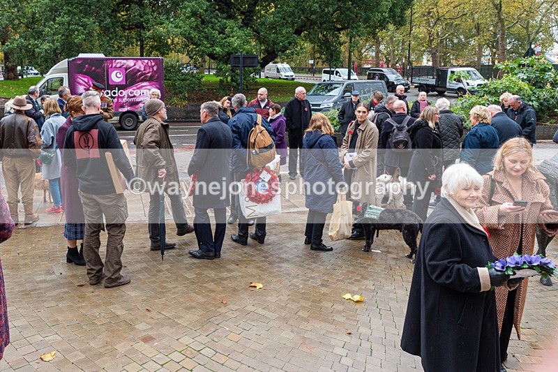 NGP_7059 - Animals In War Memorial - 10-11-23