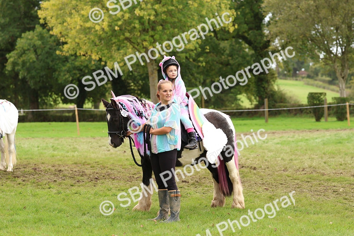 SBM_62198 - S37b - Best Unicorn