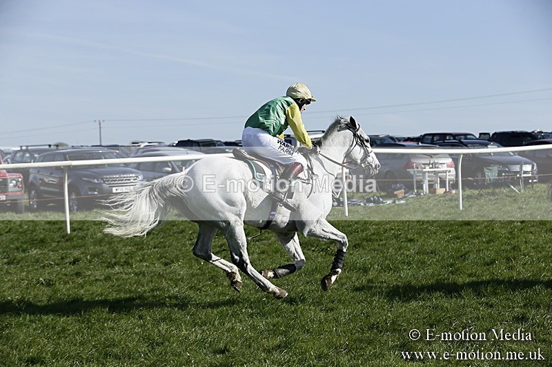 PtP 260317 278 - Mendip Farmers Point-to-Point Ston Easton 26/03/17
