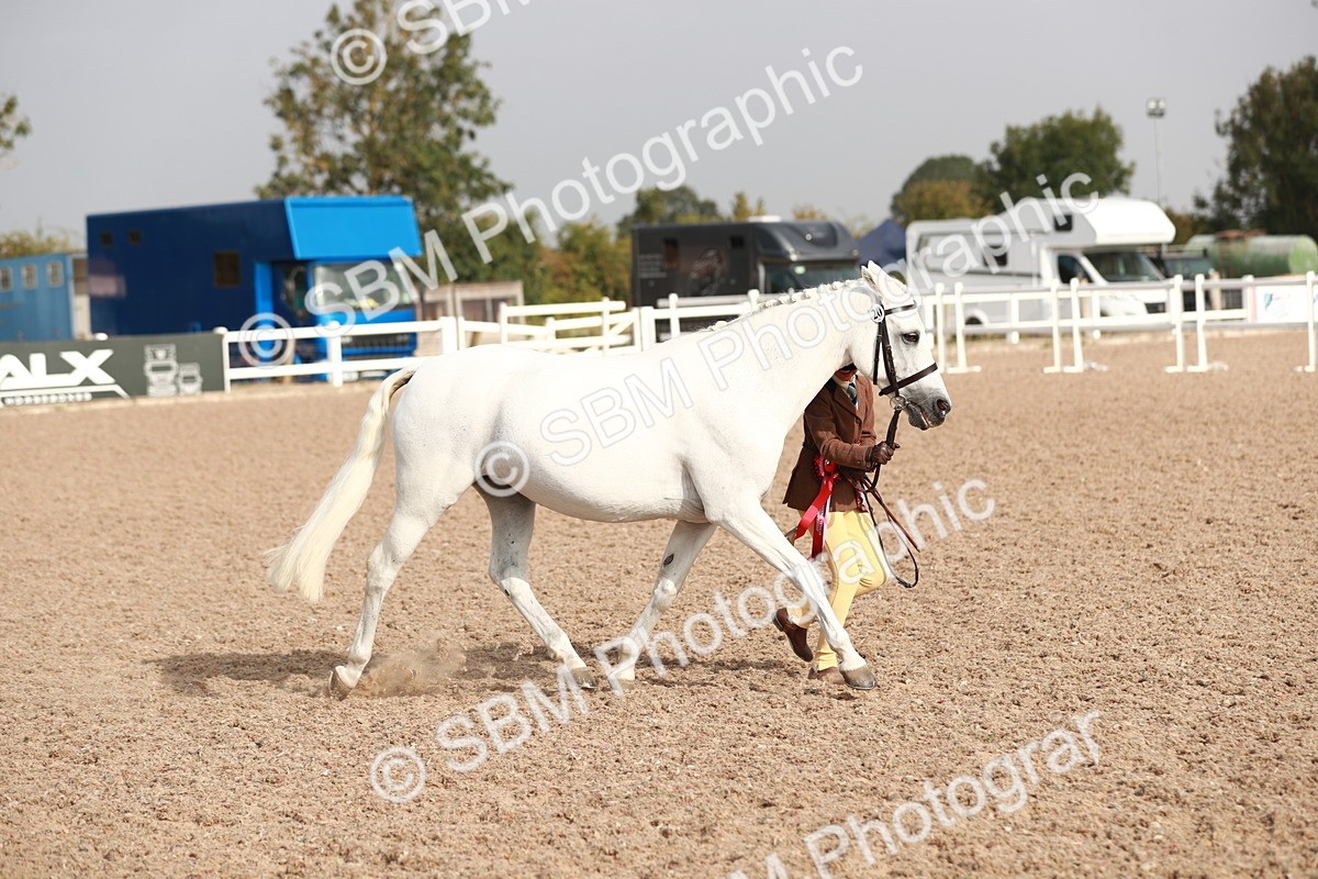 SBM_09955 - Class 203 Young Handler, 10 years and under