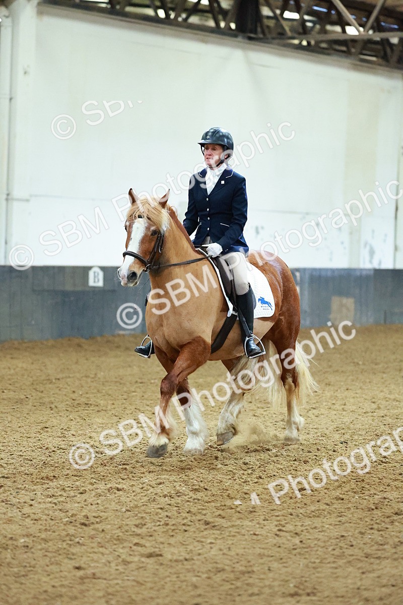 SBM_003627 - Novice 2