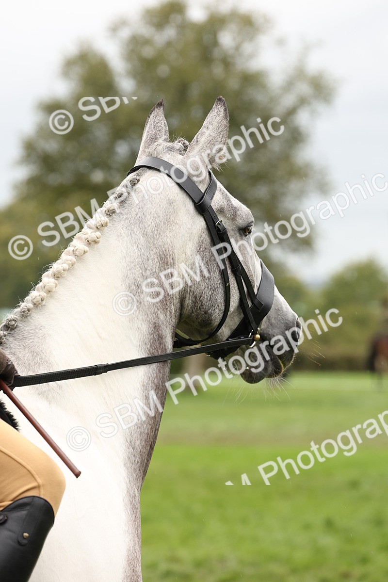 SBM_69898 - S68 - Other Coloured Horse Ridden