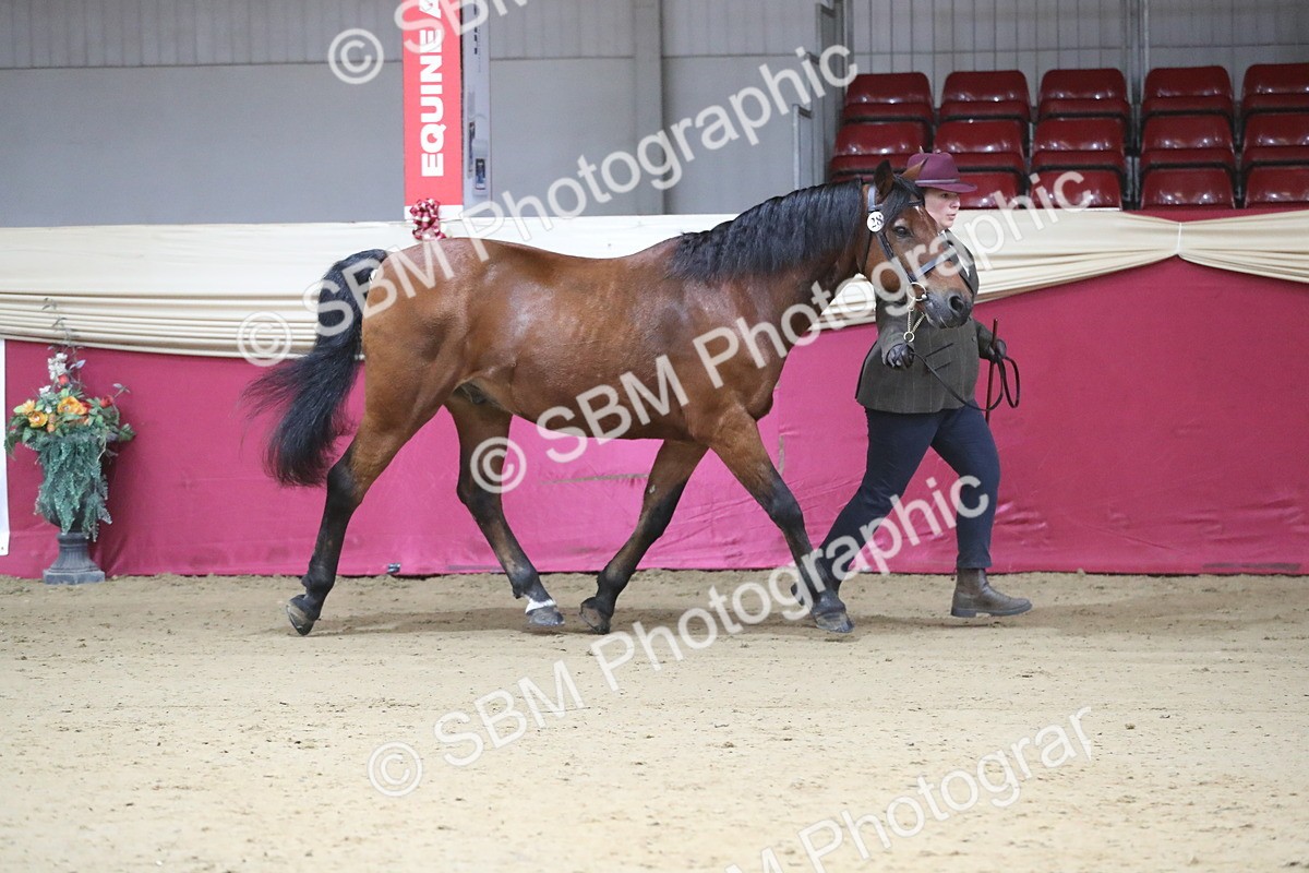 SBM_00257 - Class 1a - Area IH Diamond
