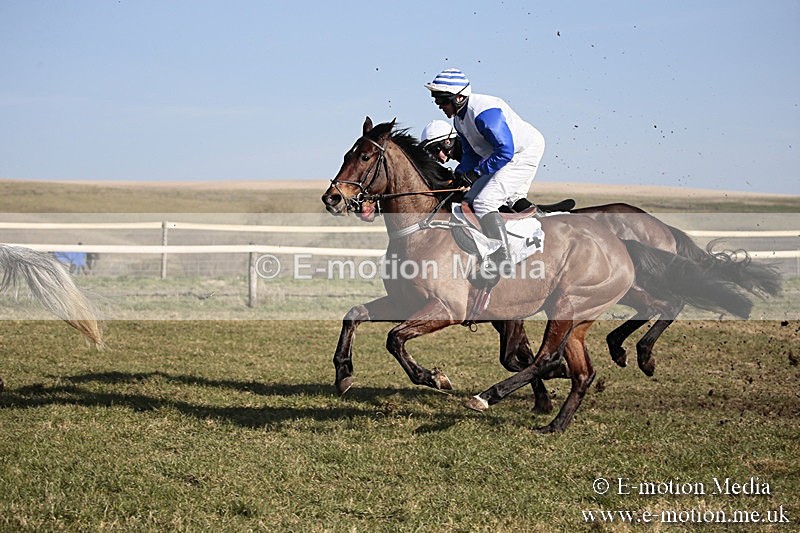 PtP 240218 363 - Vine & Craven Hunt Point-to-Point Barbury racecourse 24/02/18