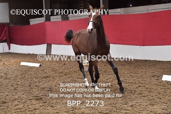 BPP_2273 - AFTERNOON 12.30 - 3.30PM