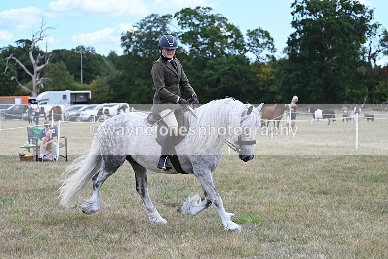 WJ7_4919 - Class 12 Ridden Cob