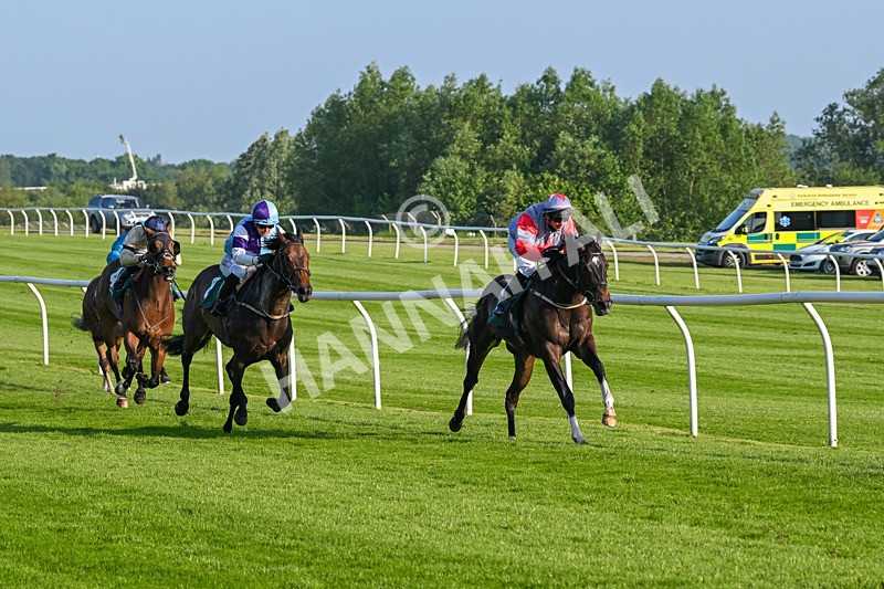 310524-Race 2-Dandy Fitz-8485 - Race 2