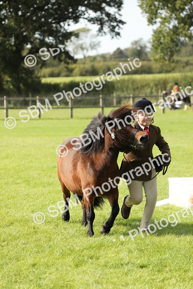 SBM_68618 - S40 - Junior Handler 9-12 Years