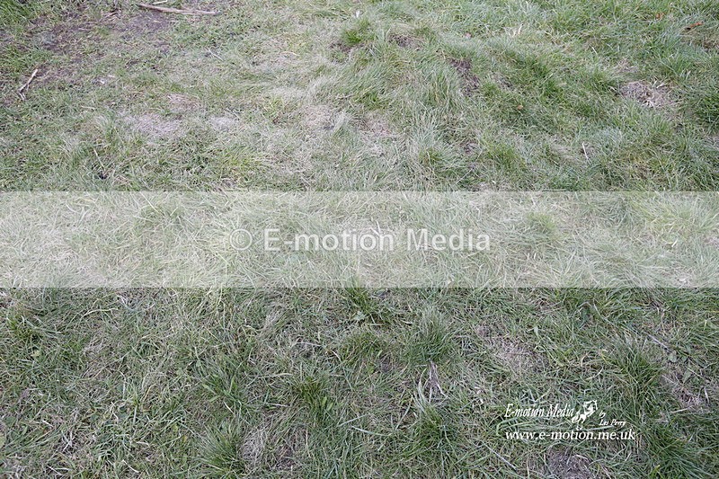PtP 290123 0889 - Combined Services Point-to-Point  Presentations 05/02/23