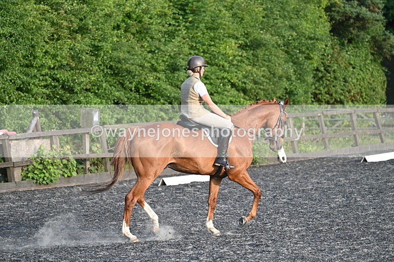 WJ7_0377 - Time 19:38 to 20:00