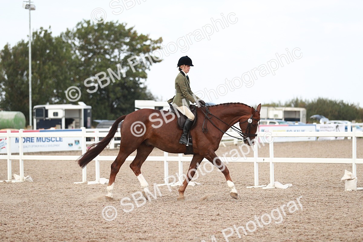 SBM_15485 - Class 213 Ridden Hunter -Large