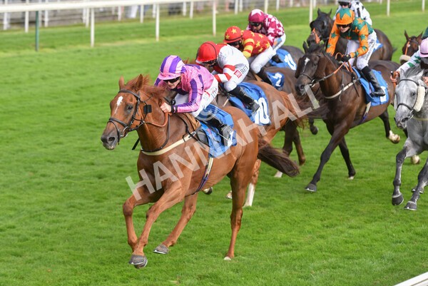 yr23072021r2-33 - Race 2 6.30pm IRE-Incentive It Pays To Buy Irish Stakes