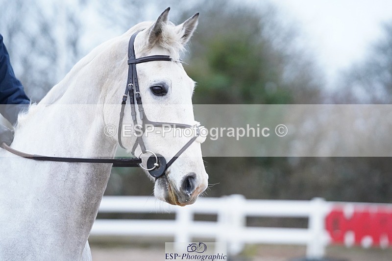 250223-100014-03188 - Cls 19 BlueChip JJ Winter Discovery Champ Q