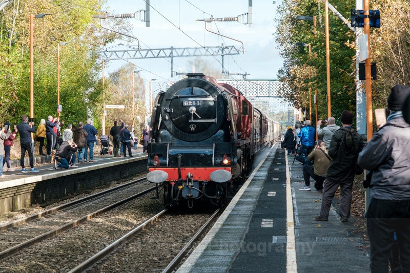 Duchess of Sutherland - Britain and the British