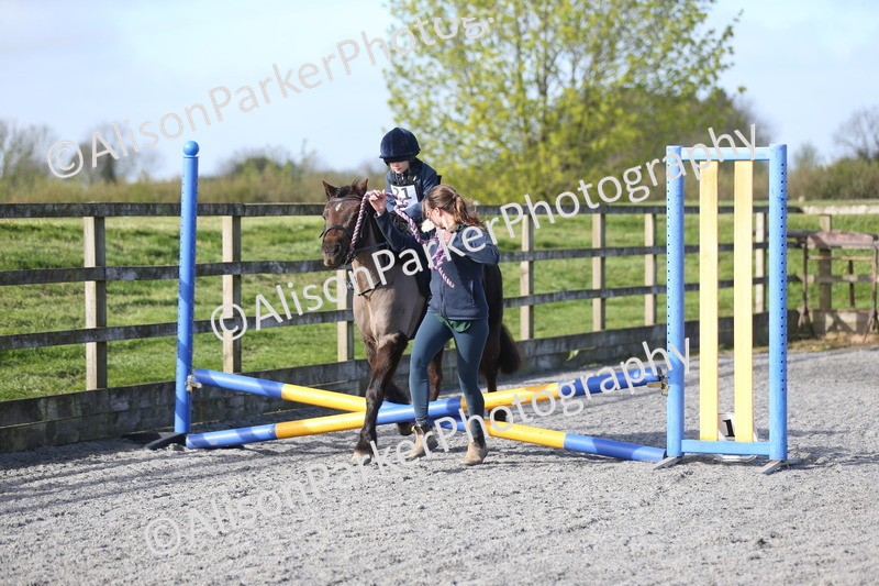 20260412-0030 - Show Jumping