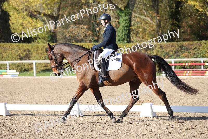 20251102-1009 - Class 5 - Elementary 5