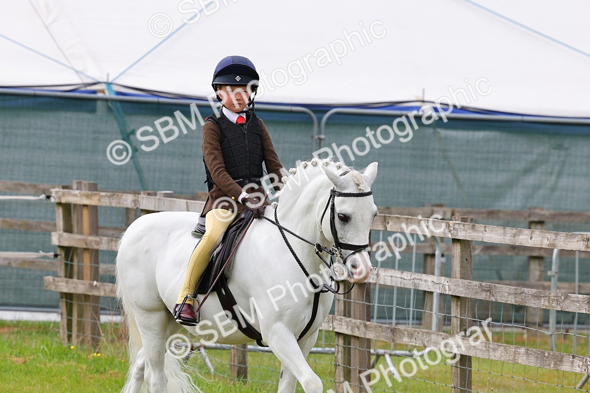SBM_09613 - Class 44-45 - LIHS BSPS Open Nursery and Cradle Stakes