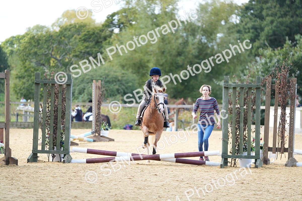 SBM_64308 - J2 - Mini Tour Junior Pony 30cm Championship