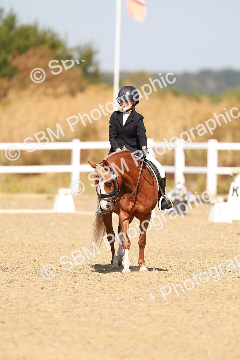 SBM_017602 - Class 9 - N5 Bronze 10.33.11.36