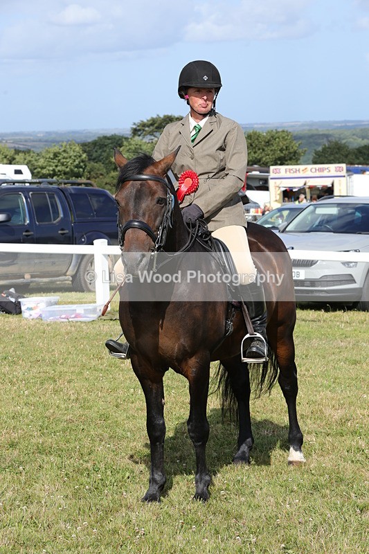 1X9A5940 - Class 41:. NPS New Forest & Connemara