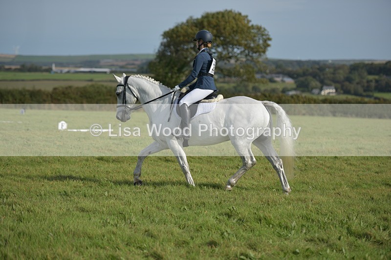 RAY_7667 - Class 2B: Trekenning Open: Dressage
