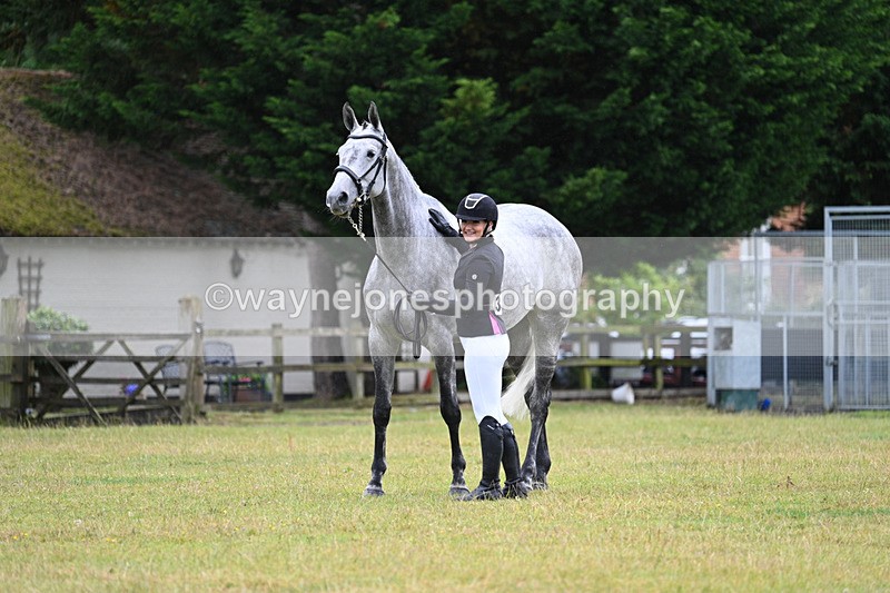 WJ7_6199 - Class 4a Prettiest Mare over 14hh