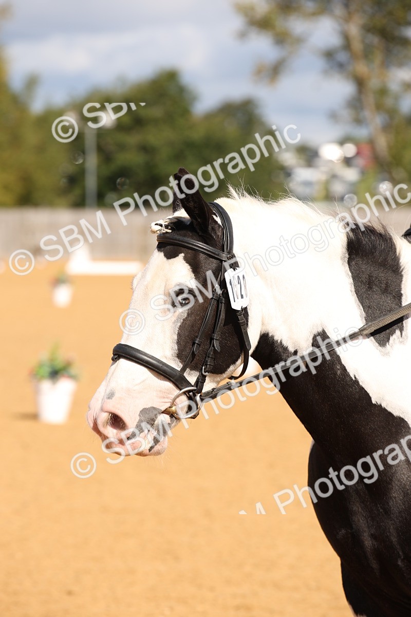 SBM_04338 - D2 Small Tour Championship Intro C