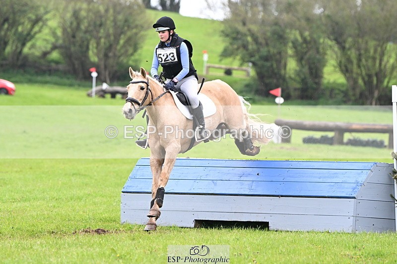 250419-125943-10477 - 523-Kate.Hicks-SWALLOWCROFT.STARDUST