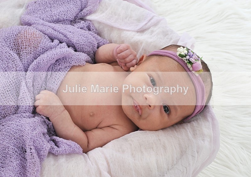 DSC_5007 - shannon