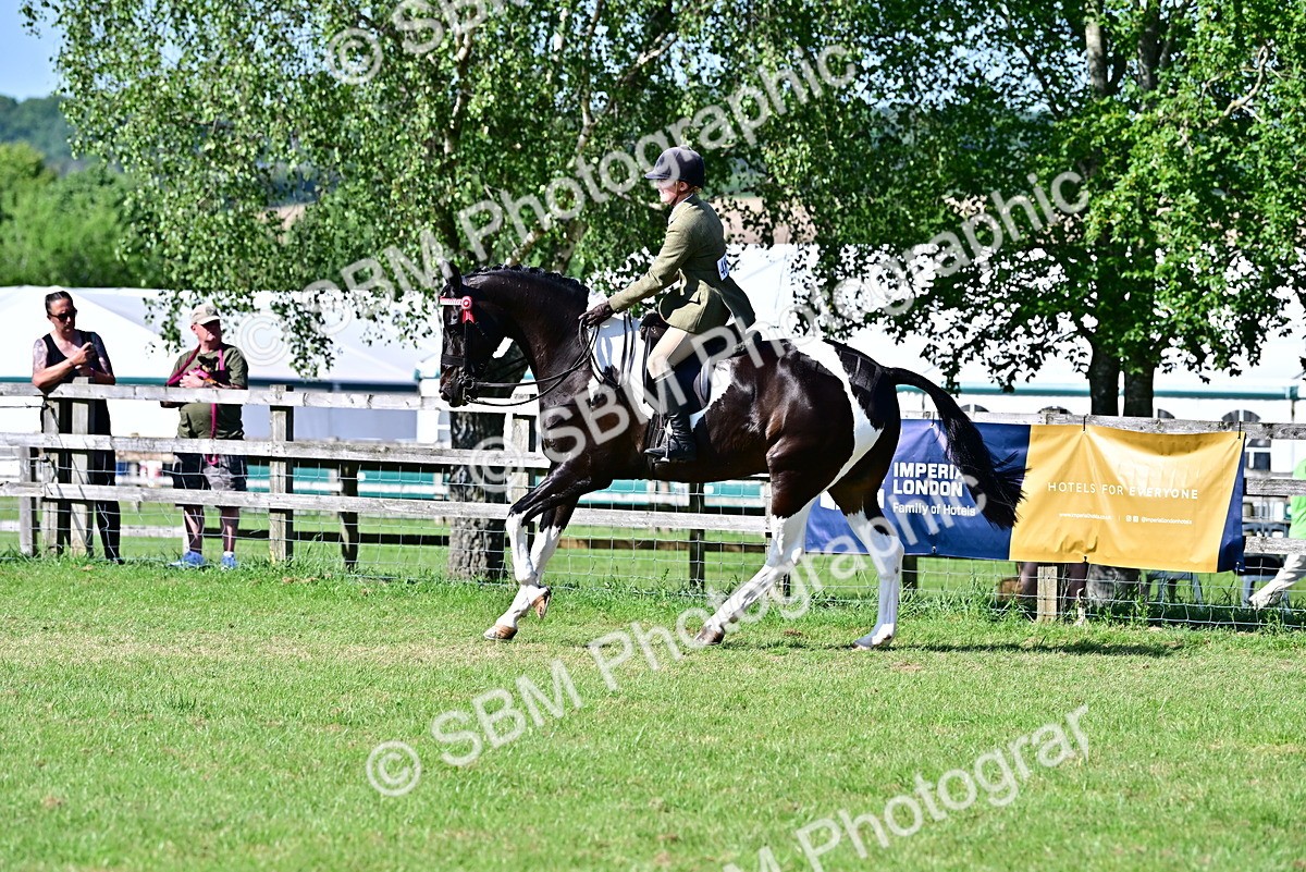 SBM_19502 - Class 101-102 - BSPS LIHS Performance Coloured Horse/Pony