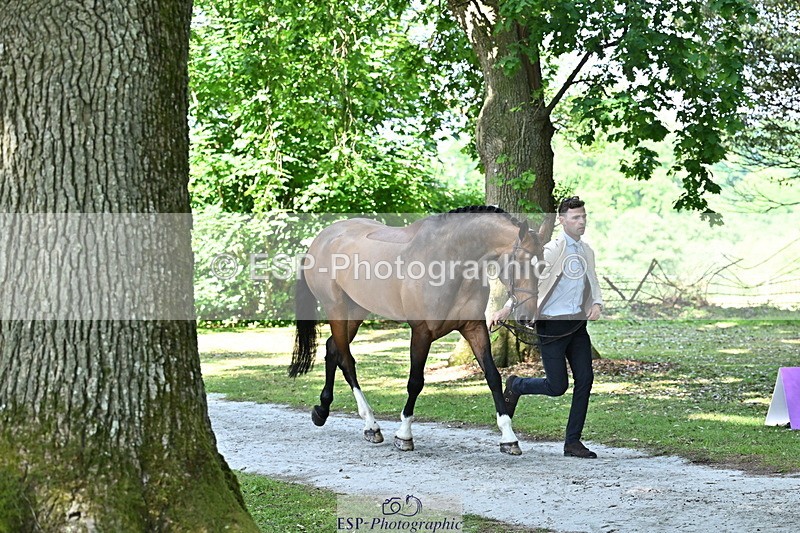 250521A-154816-00771 - B-367-Tom.Grant-QUID