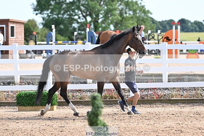 240717A-155405-03164 - Trot Up 3pm to 4pm