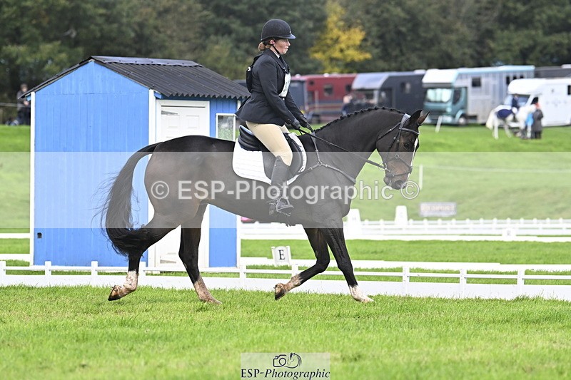 251023A-140054-04216 - D-327-Nicky.Blastland