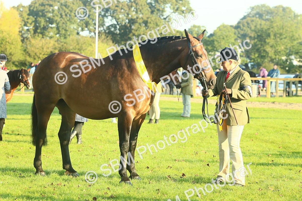 SBM_56737 - S36 - Starters Best Turnout