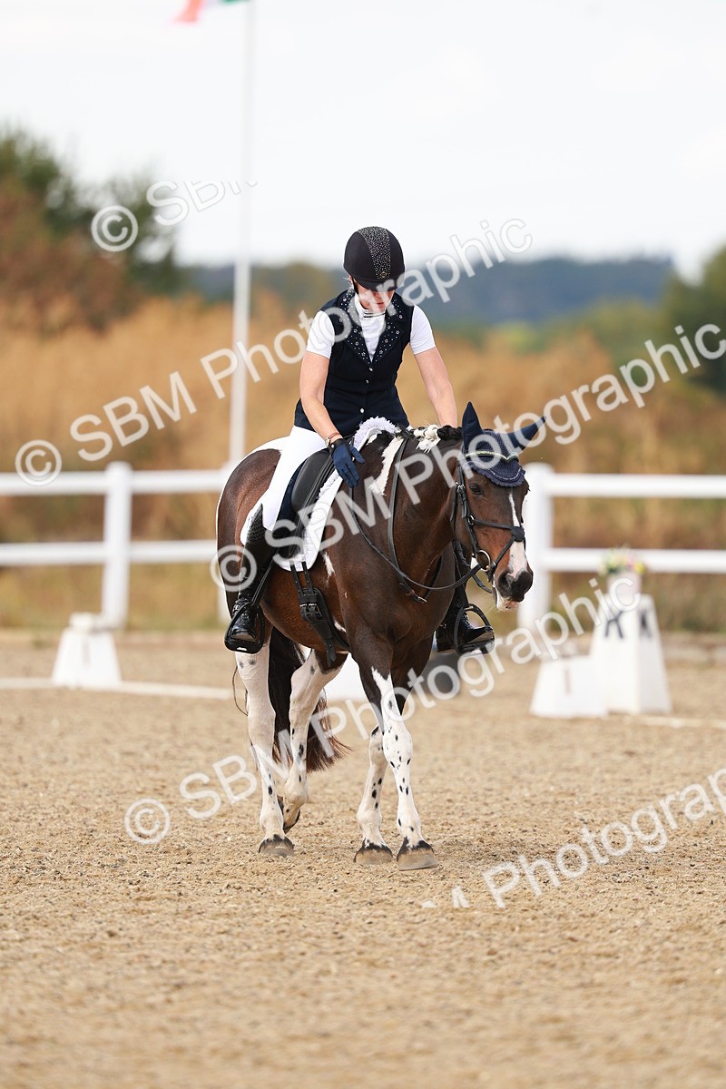 SBM_018704 - Class 9 - N5 Bronze 11.57.13.07