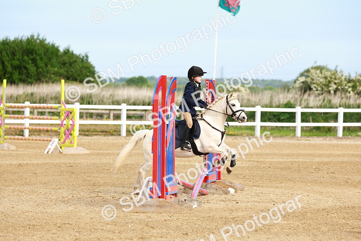 SBM_006556 - Class 1 - 40cm