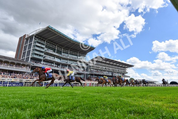280625-Race 1-Archivist-5136 - Race 1 1.55pm Al Basti Equiworld Dubai Mile Handicap