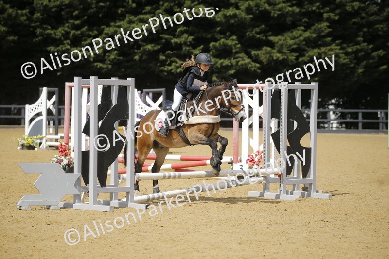 20250622-3899 - 50cm