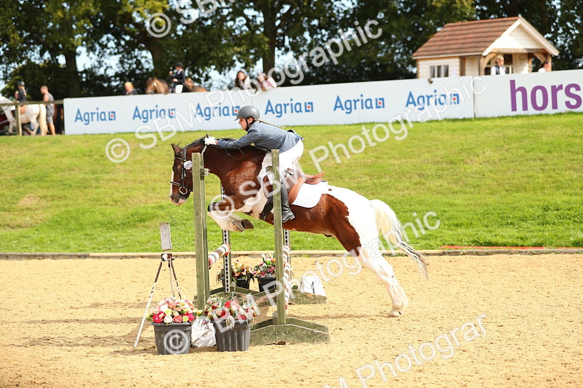 SBM_67125 - J17 - Junior Pony 80cm Championship