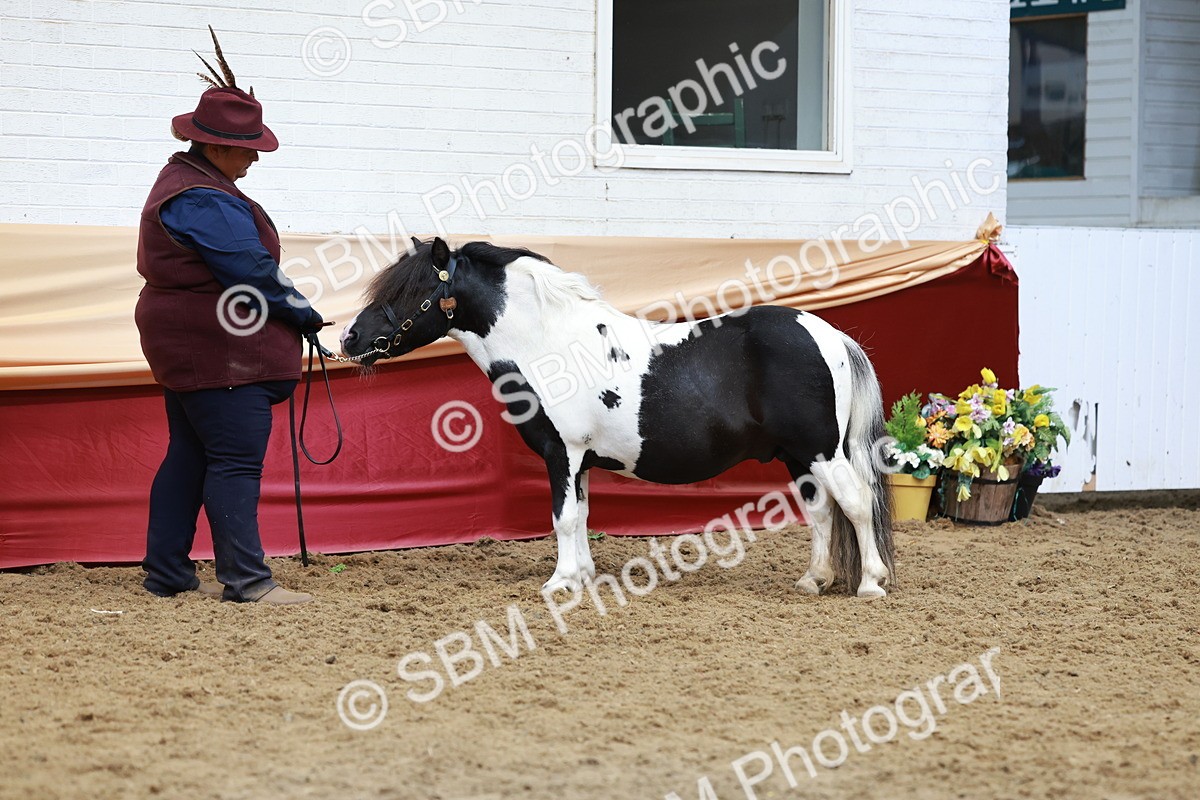 SBM_17587 - Class 951 - M&M IH Supreme Final