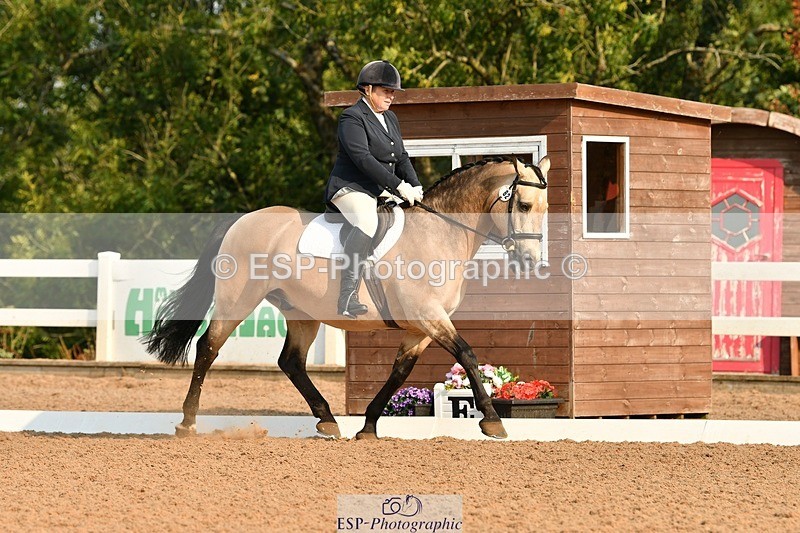 250817-092522-06911 - 082-Sarah.DavisWinston.Classic.Gold