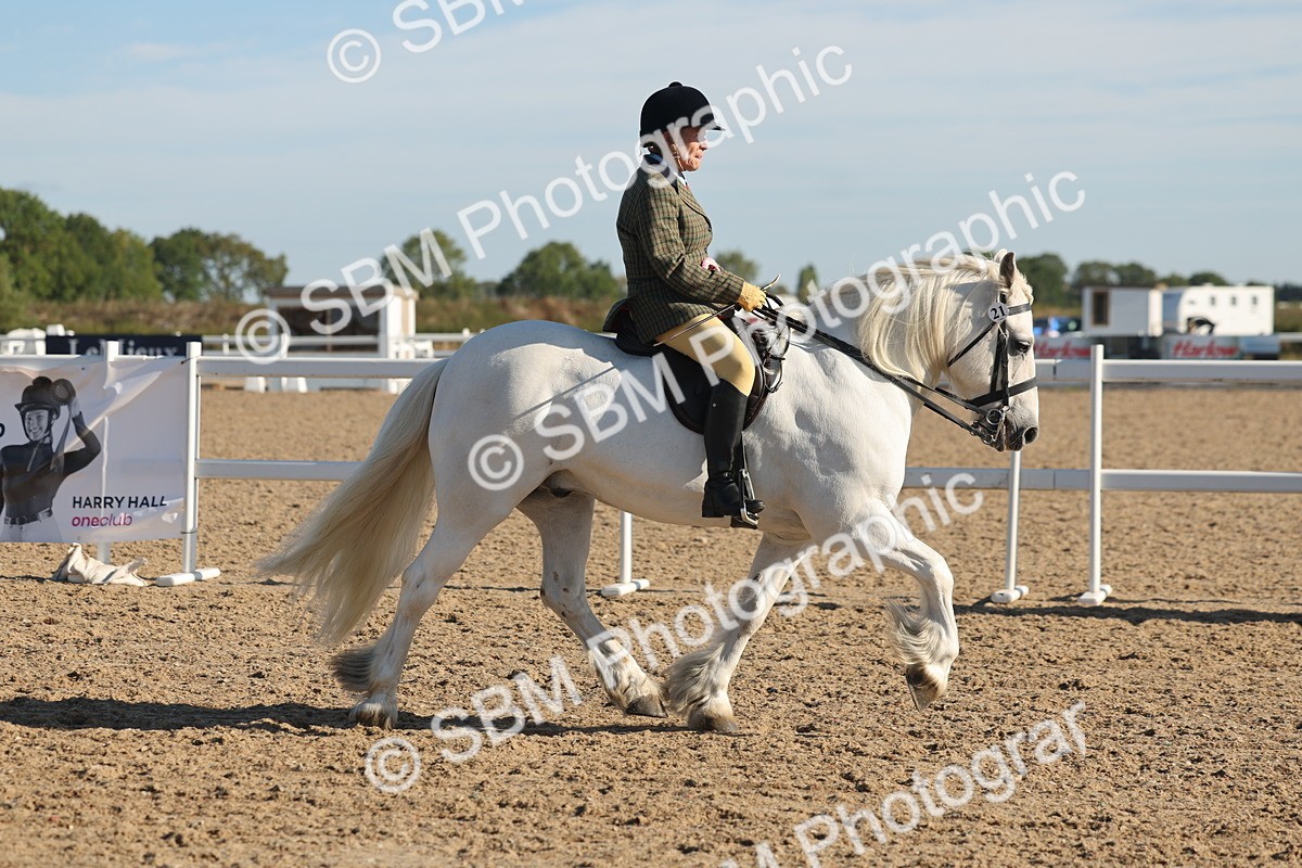 SBM_11152 - Class 302 - Ridden M&M Large Breeds