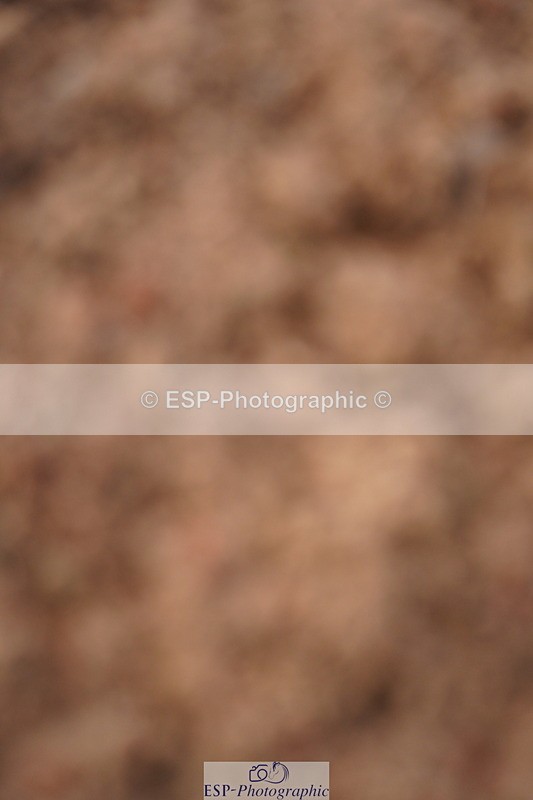 240628A-191108-00996 - Cls 3 1m Open